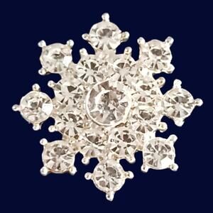 Magnetic Horse Show Number Pins New Star Concho Set of 4 NEW